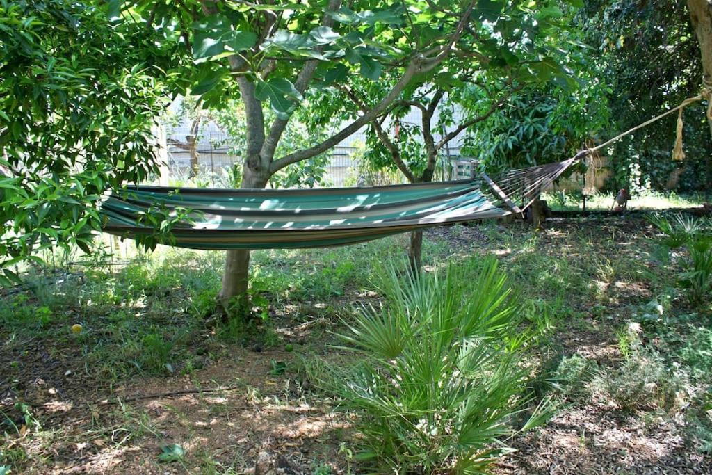 Camera Indipendente Con Bagno Immersa Nel Verde Bagheria Bagian luar foto